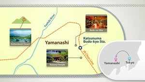 Journeys in Japan: 11×22