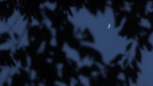 Nostos: The Return 32