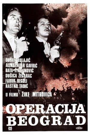 Case Belgrade poster