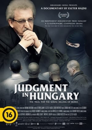 Poster Judgement in Hungary (2013)