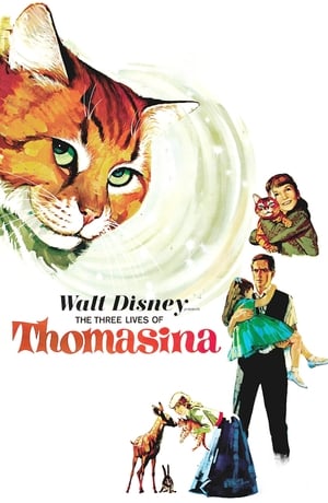 Poster Las tres vidas de Tomasina 1963