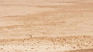 Bear Grylls: Escape From Hell Desert