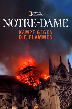 Image Notre-Dame: Kampf gegen die Flammen