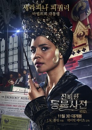 <Images posters