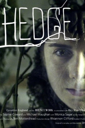 Hedge