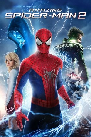 Image Amazing Spider-Man 2