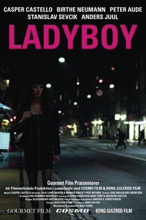 Poster di Ladyboy