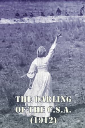 Poster The Darling of the CSA (1912)