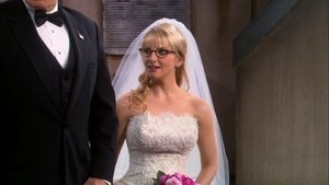 The Big Bang Theory 5×24