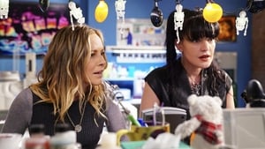 NCIS – Unità anticrimine: Stagione 15 – Episodio 6