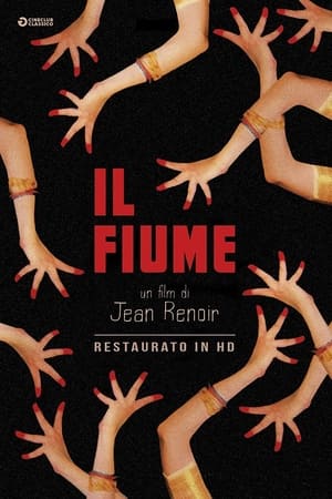 Il fiume 1951