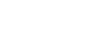 MVP — Logos 2