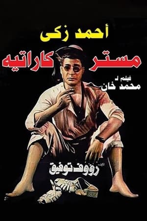 Poster مستر كاراتيه 1993