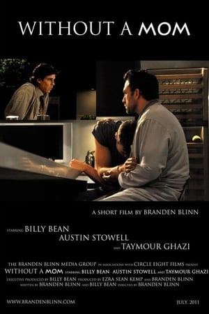 Poster Without a Mom (2011)