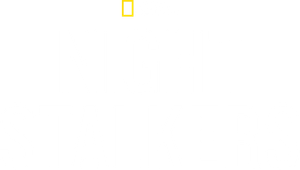 Night Stalkers