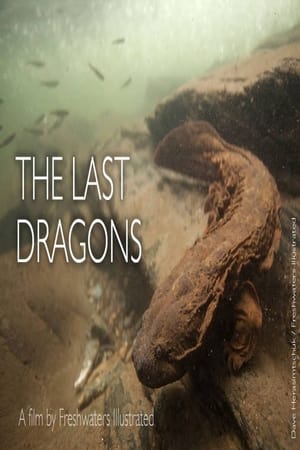 The Last Dragons: Protecting Appalachia's Hellbenders