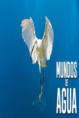 Affiche de Mundos de agua