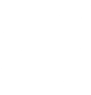 Teen Beach Movie