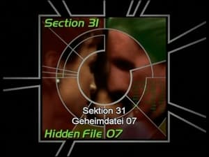 Image Section 31: Hidden File 07 (S06)