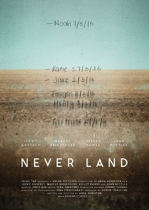 Poster Never Land 2017