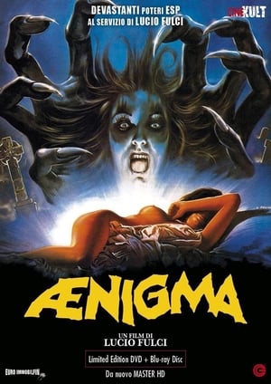 Ænigma 1987