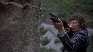 Donde Ver Fríamente... sin motivos personales Pelicula Completa en Línea | 7504
