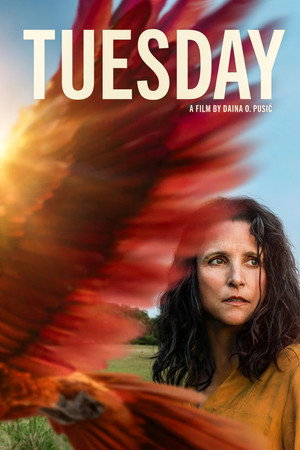 Tuesday 32