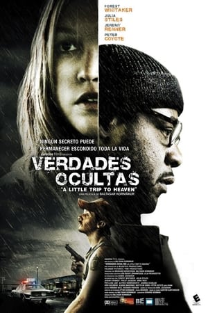 Poster Verdades ocultas 2005