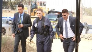 Bones: Stagione 12 – Episodio 3