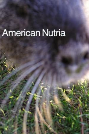 Image American Nutria