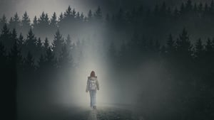 Dziewczyna we mgle