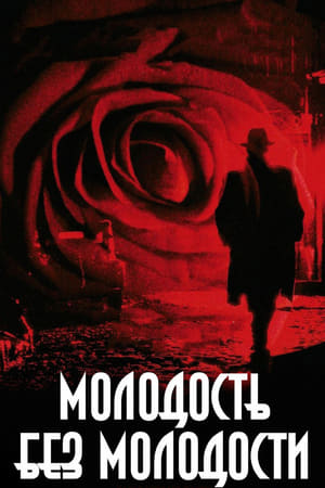 Poster Молодость без молодости 2007