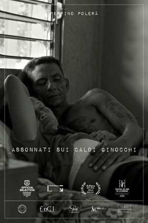 Assonnati sui caldi ginocchi