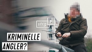 Episode 242