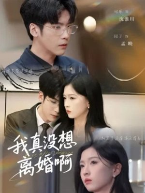 我真没想离婚啊 - Season 1