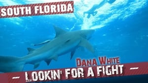 Dana White: Lookin' for a Fight South Florida