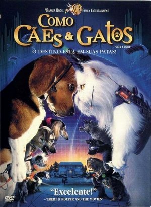 Como Cães e Gatos Torrent Como Cães e Gatos Torrent, Download, movie, filme, poster