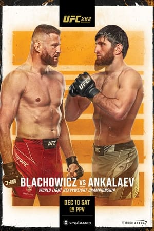 Image UFC 282: Blachowicz vs. Ankalaev