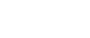 Antes Que Eu Me Esqueça