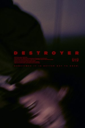 Affiche de Destroyer