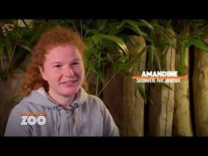 Episode 30