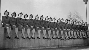 Flying Stewardess