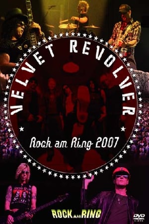 Image Velvet Revolver - Rock am Ring