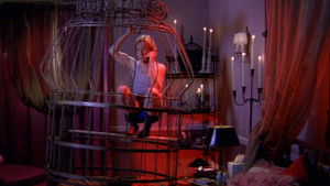 Just Shoot Me – Redaktion durchgeknipst: 2×4