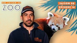 Episode 16