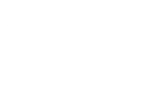 Chytrá princezna — Logos 1