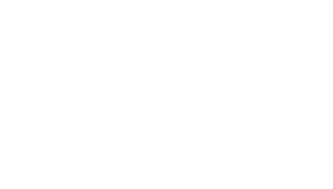 Ảnh 151
