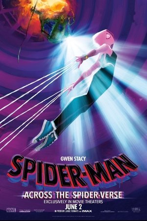 poster Spider-Man: Across the Spider-Verse
