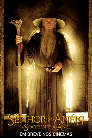 poster The Lord of the Rings: The Fellowship of the Ring