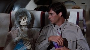 Airplane 1980